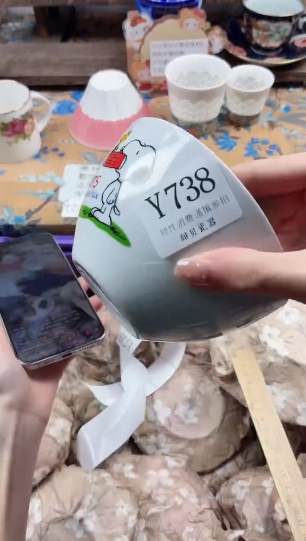 瓷片三***?                Y738