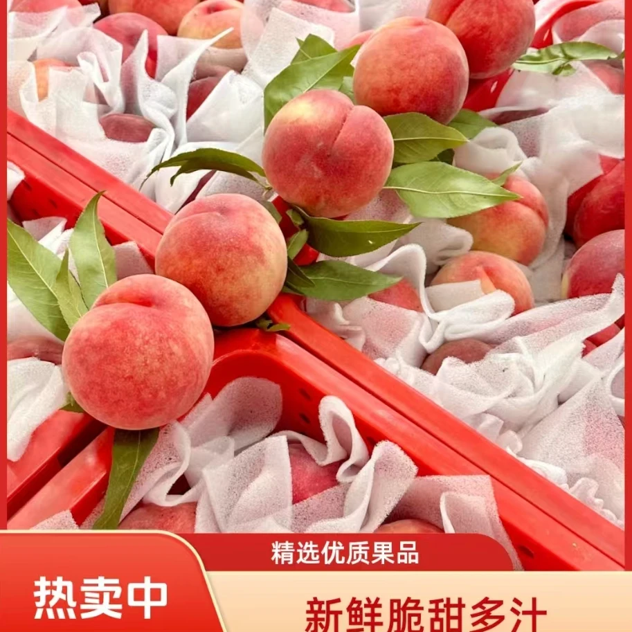 【新疆包邮】龙泉驿水蜜桃 果园现摘 空运到货香甜多汁