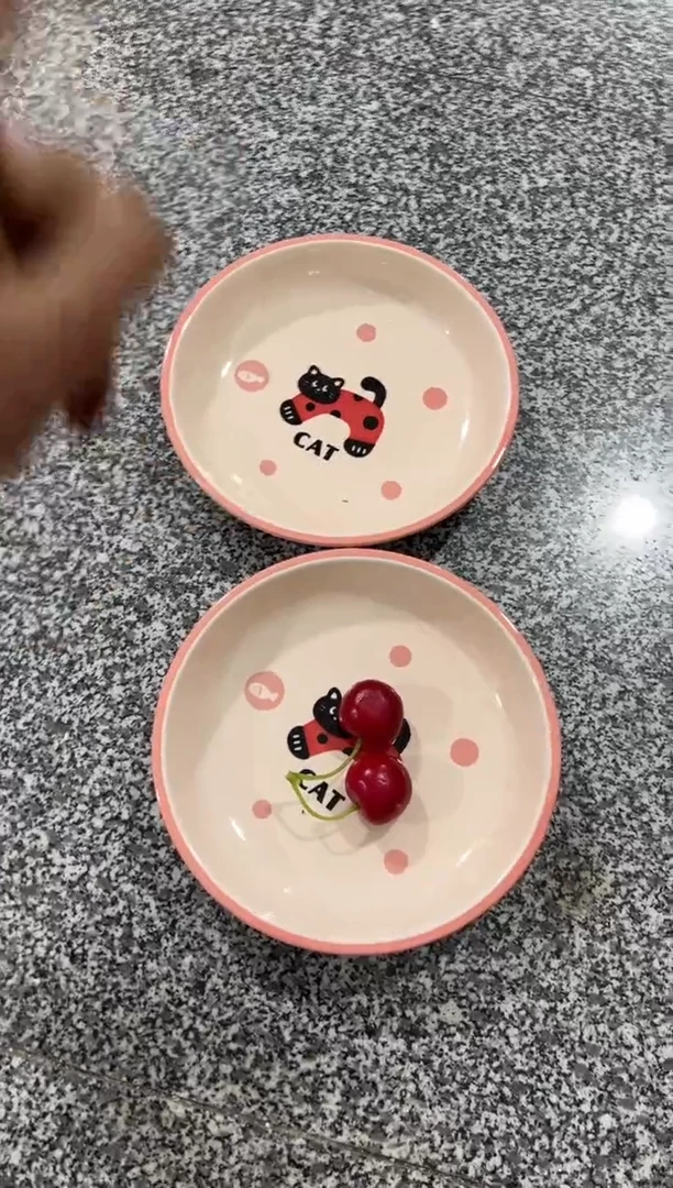 【闪购商品】瓷网红猫咪款2只装（微瑕）