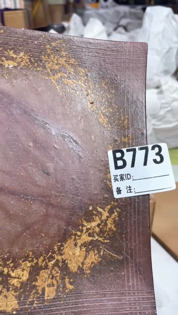 其他成**好啊啊啊啊aa