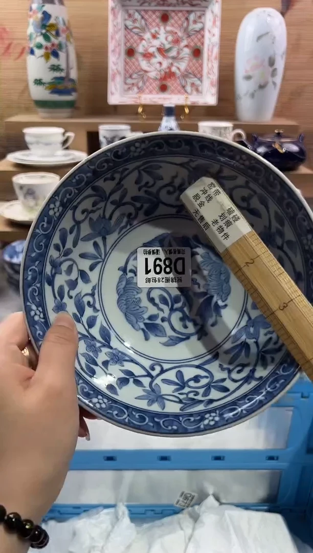 瓷片          D891