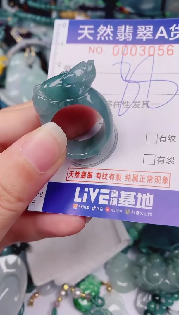 颈饰未镶嵌翡翠00003056