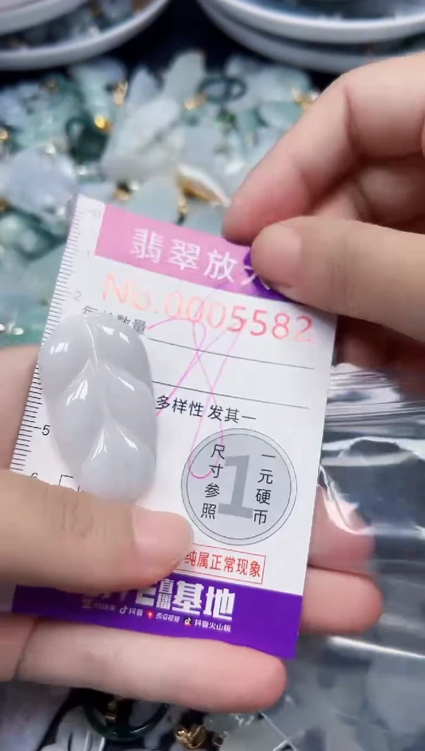 颈饰未镶嵌翡翠5582