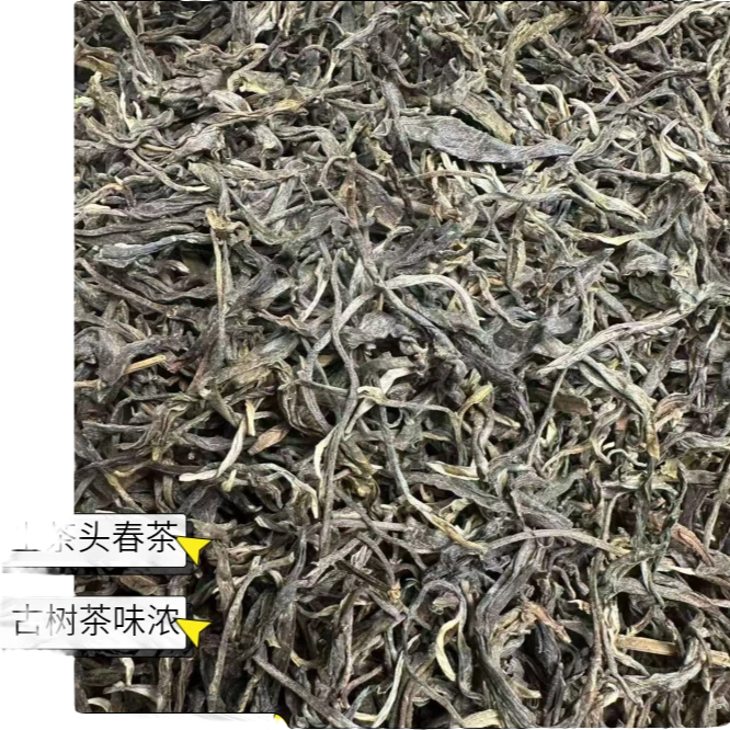 2023年邦东韵古树普洱生茶云南普洱生茶散茶