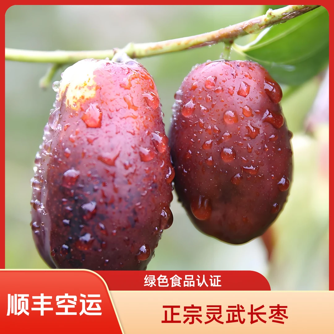 【老树大枣】露天正宗宁夏灵武长枣鲜枣脆甜多汁碱性水果孕妇养生