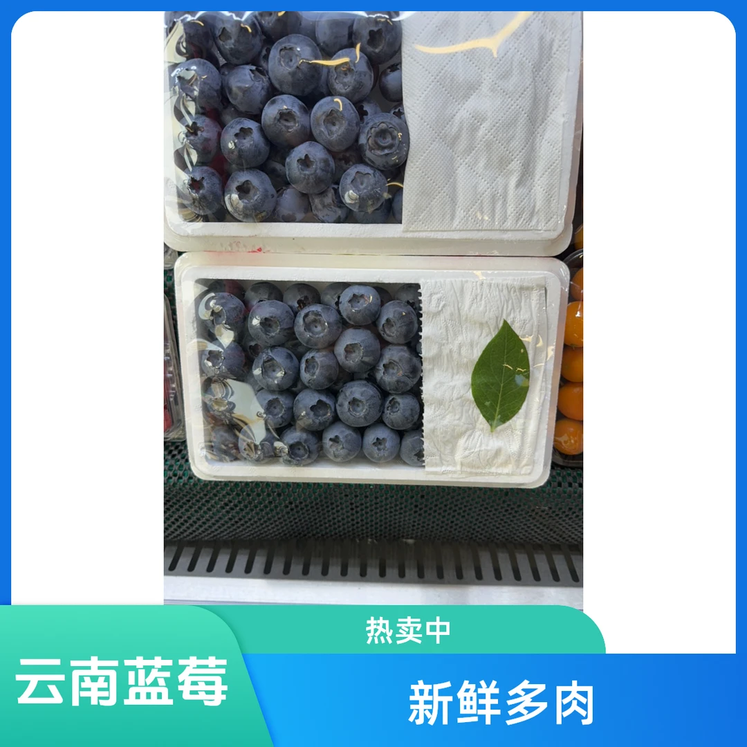 云南L25蓝莓18mm-22mm（0.8斤）