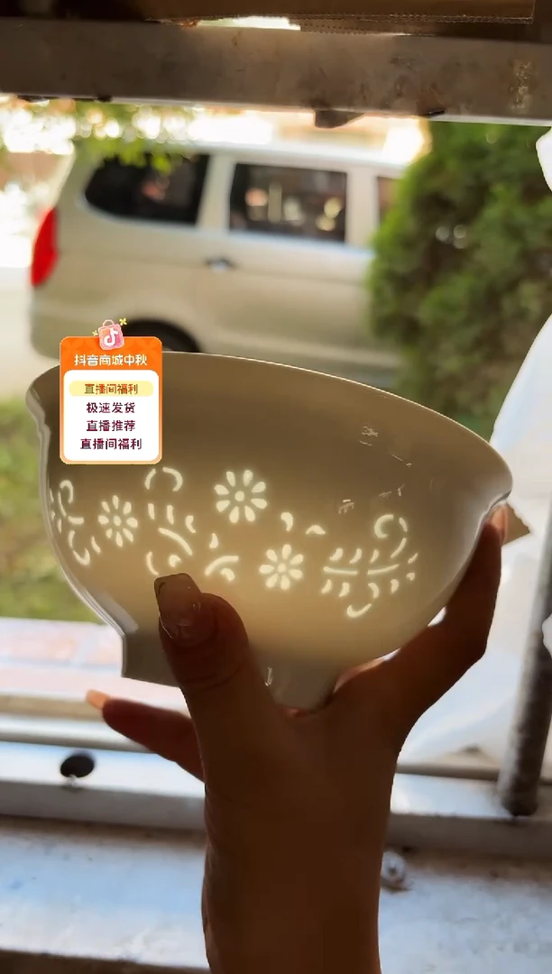 陶瓷景德镇一级品蒲公英白色面碗X2
