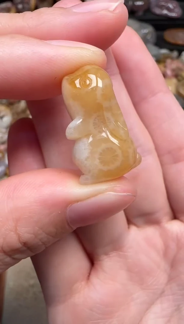 颈饰未镶嵌硅化珊瑚（珊瑚玉）193