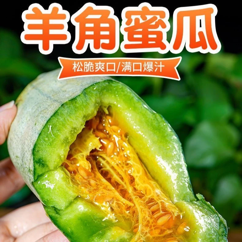 山东头茬羊角蜜甜瓜新鲜水果脆甜多汁脆爽微甜带箱5-5.2斤WWQ