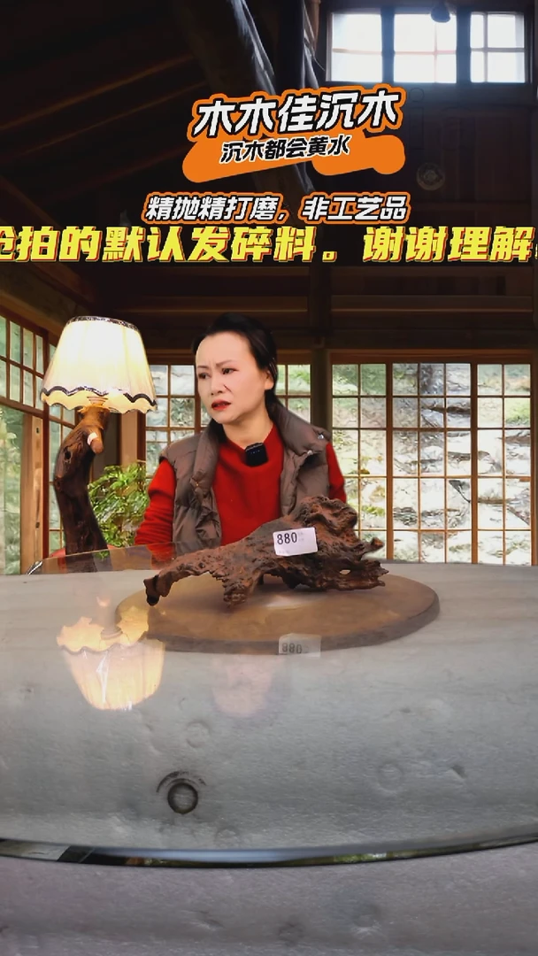 H**n木木佳沉木鱼缸造景