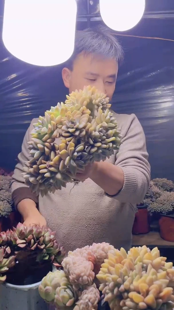 【闪购商品】缀化106