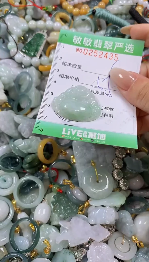翡翠未镶嵌颈饰闪购0252435
