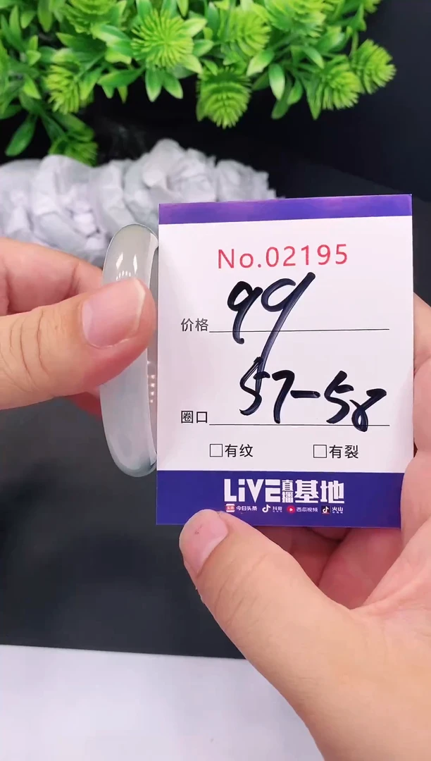 未镶嵌手镯翡翠2195