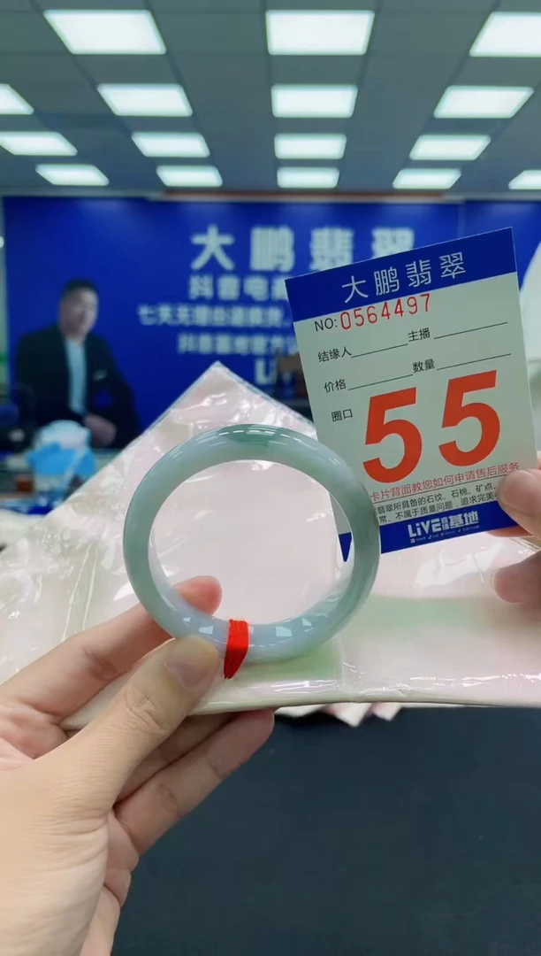 未镶嵌手镯翡翠AAAAAAAAA
