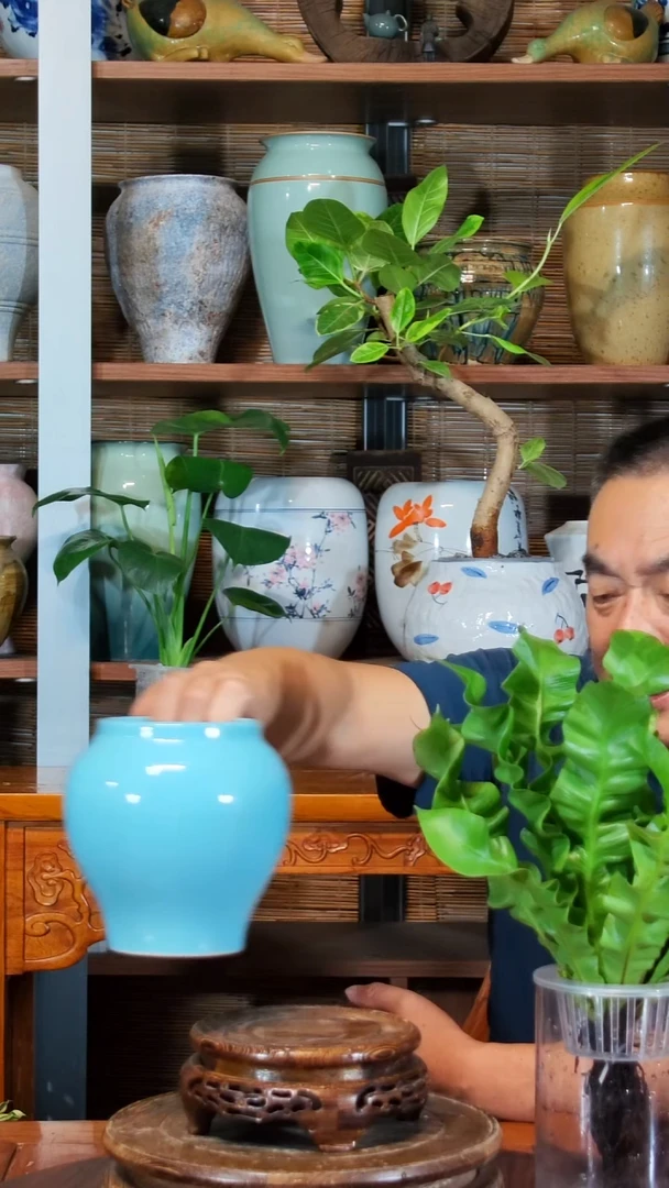 无花朵有***了水之韵水培瓷器瓶*2