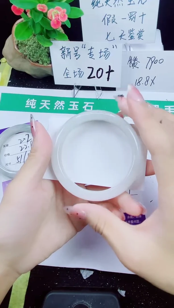 未镶嵌手镯石英质玉203-56/57