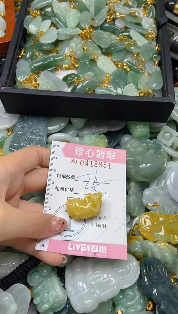 颈饰未镶嵌翡翠闪购0418851