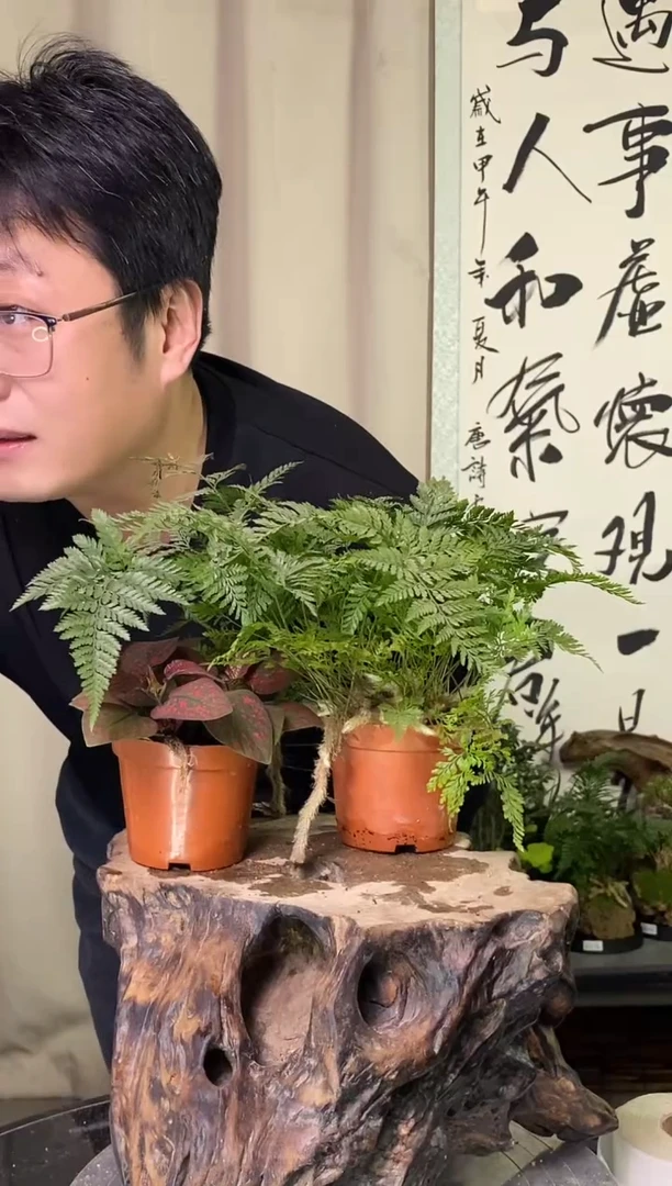 完全开放111111111