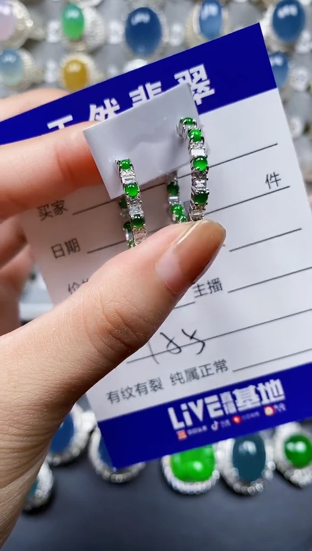 翡翠银S925镶嵌耳饰0155