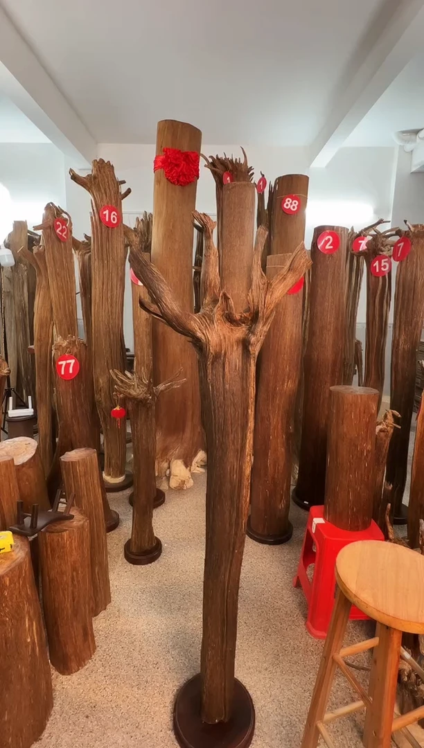 沉香摆件大***6沉香原料6