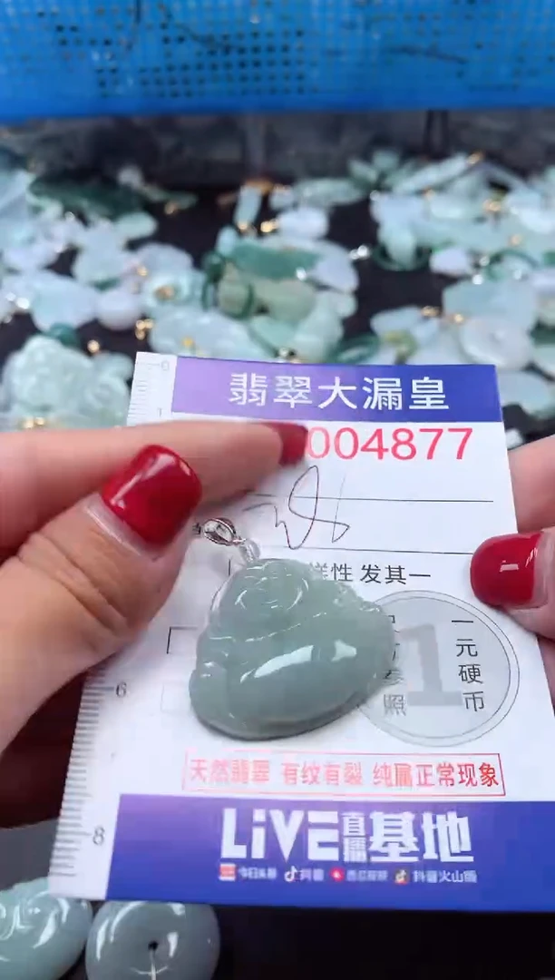 颈饰未镶嵌翡翠4877