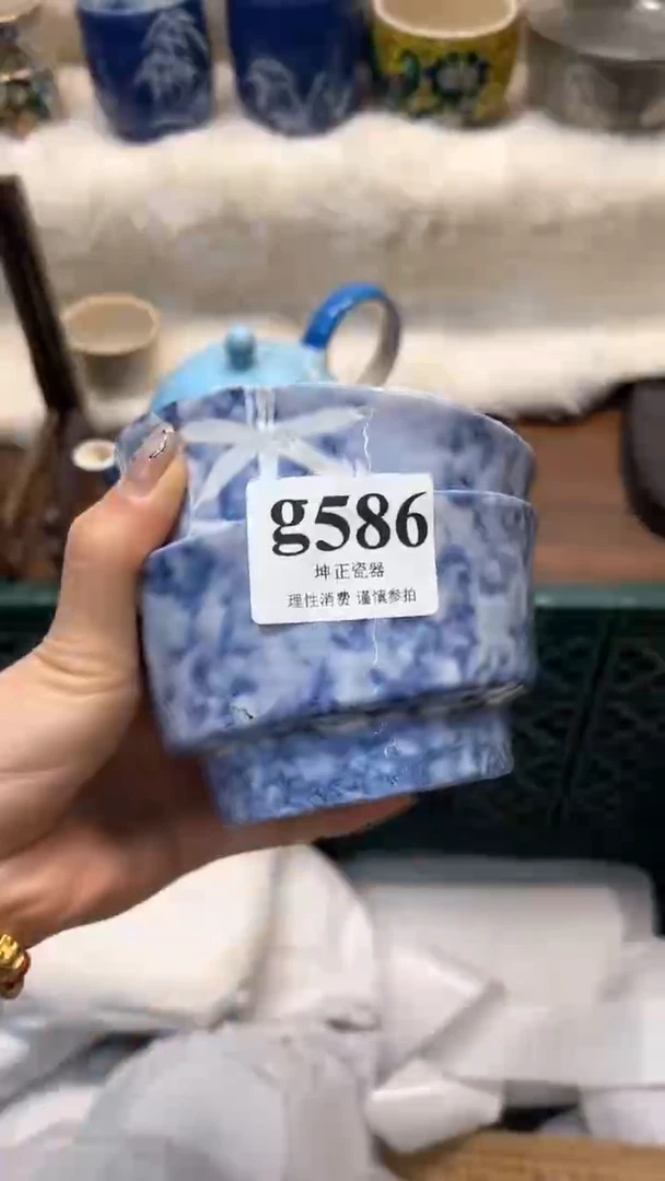 【闪购商品】瓷片          g586