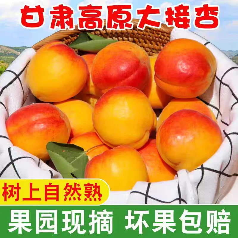 甘肃杏子新鲜水果天水甜杏贵妃杏胭脂杏酸甜黄杏特产孕妇水果