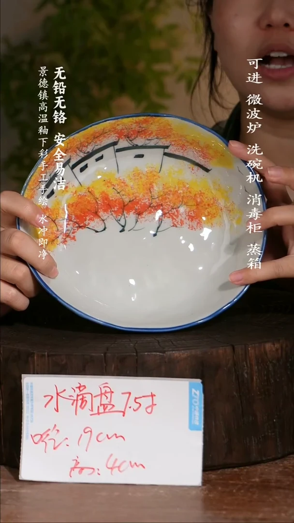 碗陶瓷景德镇高温瓷釉下彩手绘陶瓷