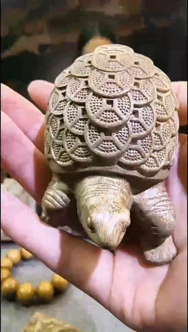 金丝楠      金钱龟