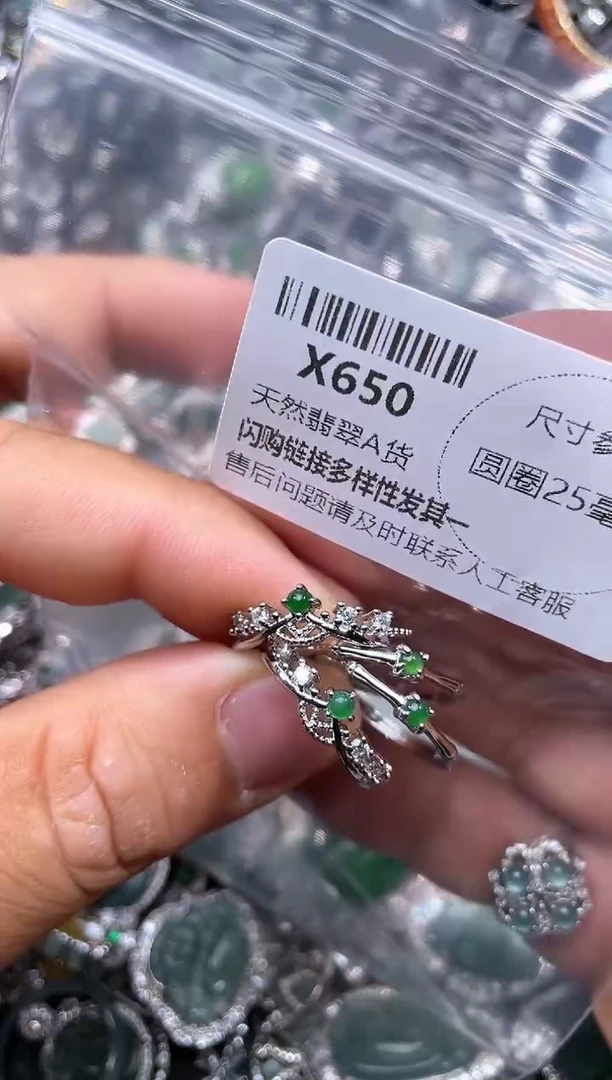 【闪购商品】翡翠颈饰未镶嵌X650戒指 多样性发其二