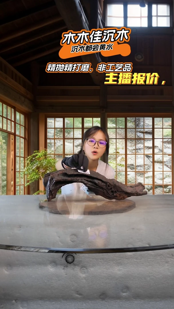 爲木木佳鱼缸造景沉木-590