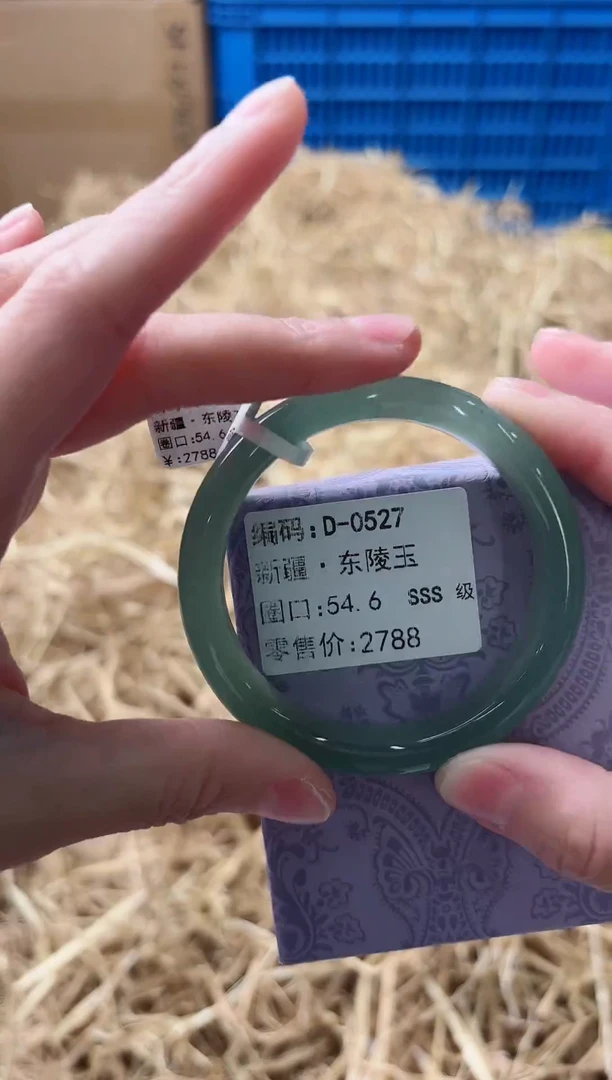 未镶嵌手镯石英质玉D-0527