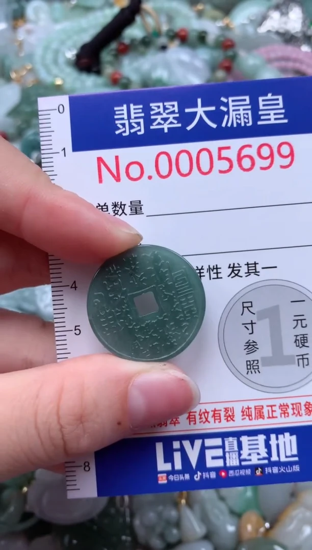 翡翠未镶嵌颈饰5699