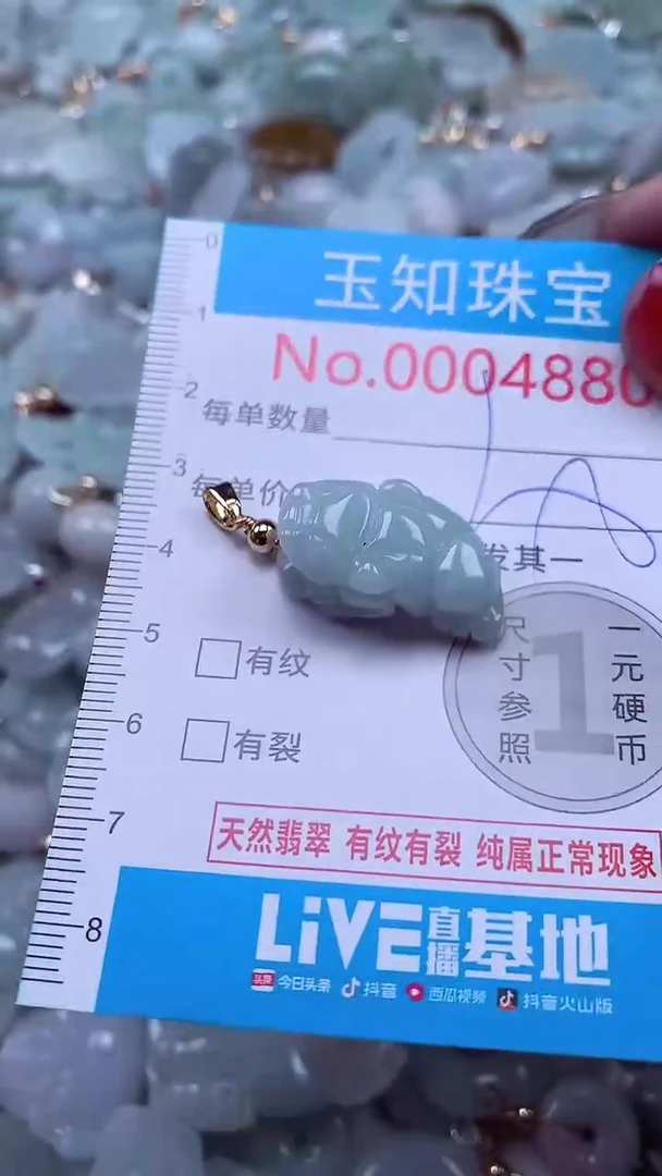 吊坠(不含链)未镶嵌翡翠4880