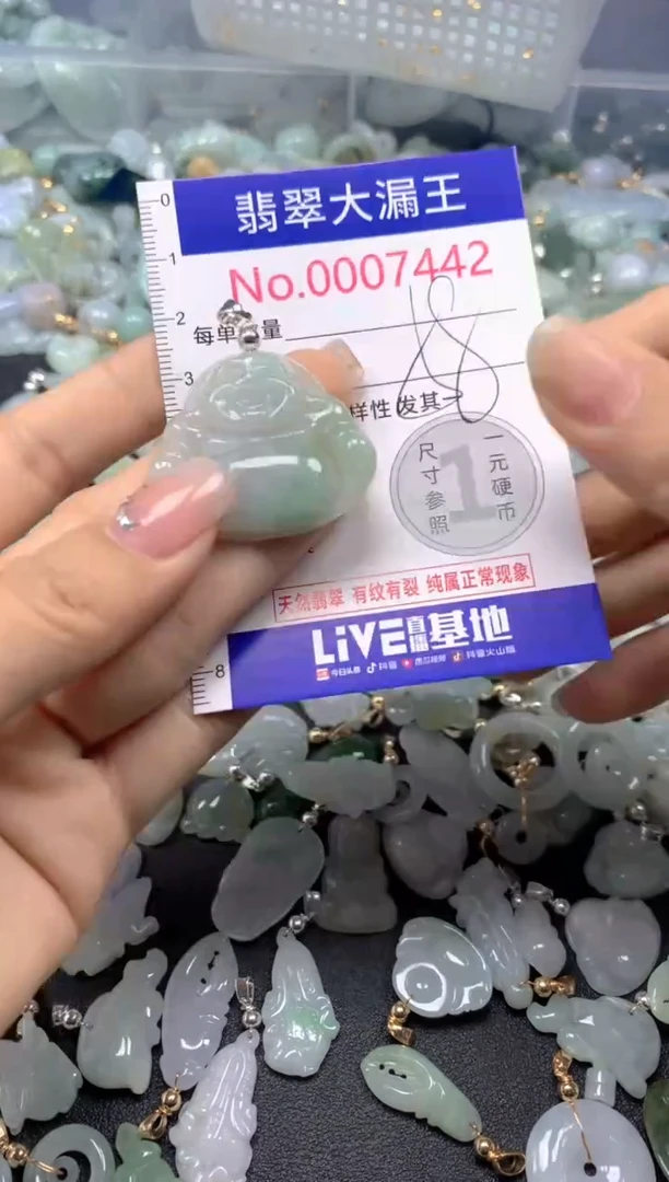 颈饰未镶嵌翡翠7442
