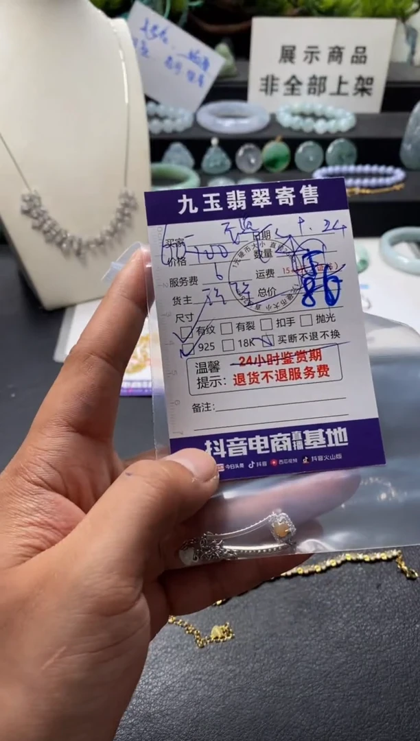 颈饰银S925镶嵌翡翠(****奇买断