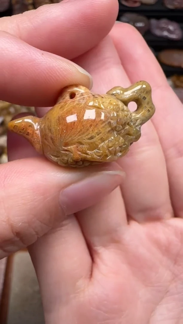 颈饰未镶嵌硅化珊瑚（珊瑚玉）228