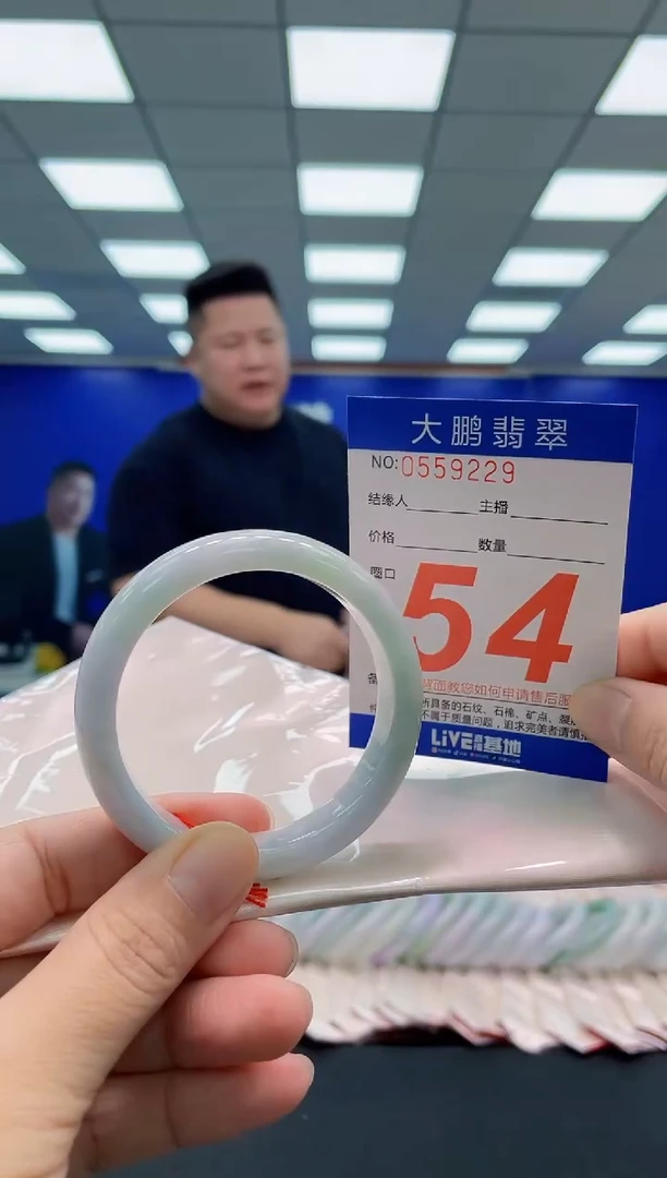 未镶嵌手镯翡翠AAAAAAAAA