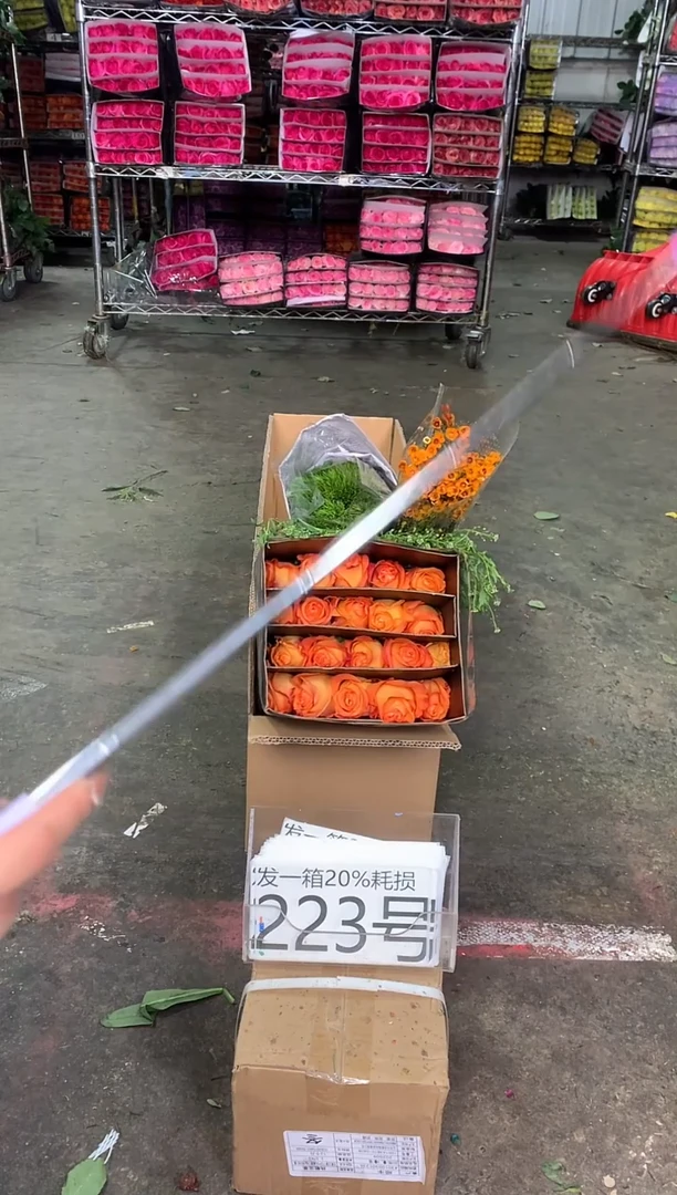 223号♥中通含20%耗损发一箱鲜花