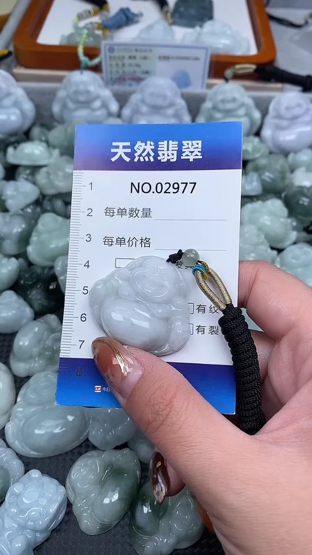 颈饰未镶嵌翡翠纯天然A货翡翠2977