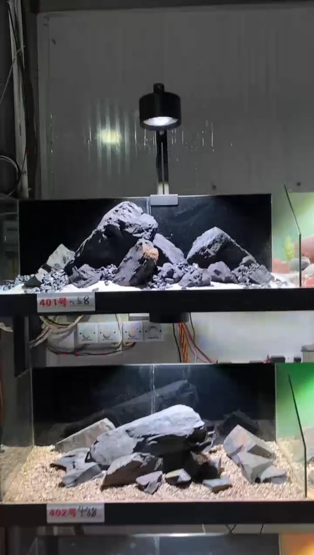 401号鱼缸造景（不含底砂）