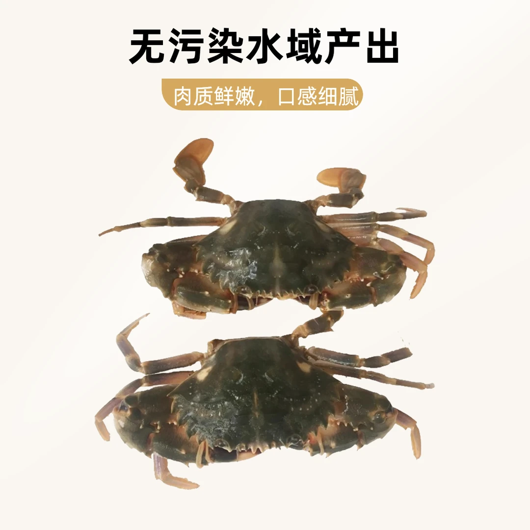 本地花盖蟹一斤13~17只【保鲜不保活】各别有断腿