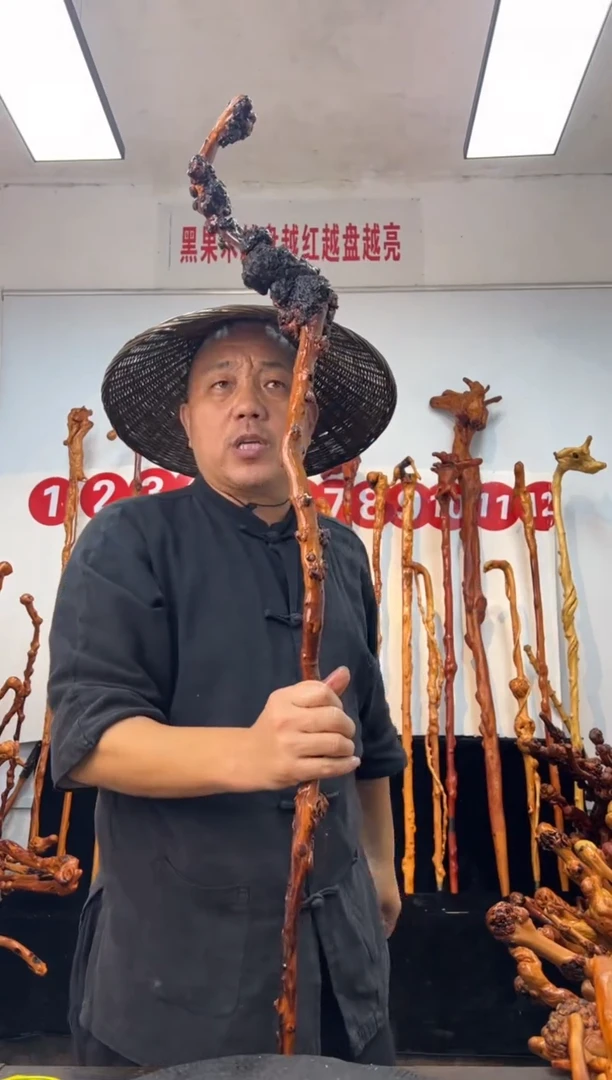 黑果木其他黑果木476