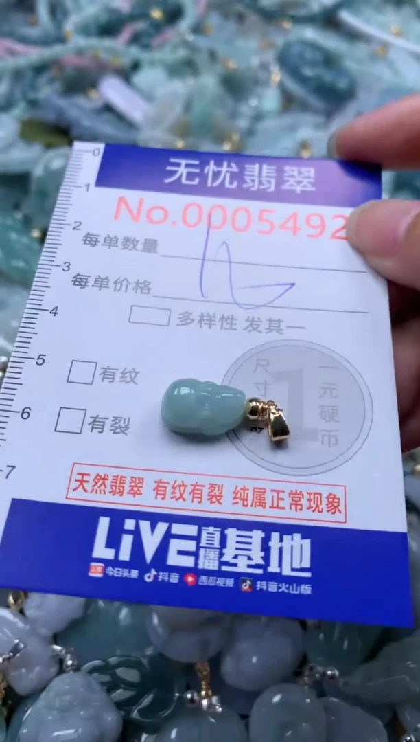翡翠未镶嵌吊坠(不含链)5492