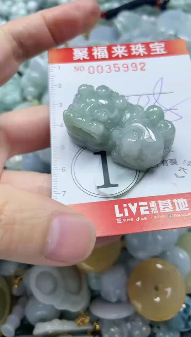 【闪购商品】翡翠颈饰未镶嵌闪购0035992