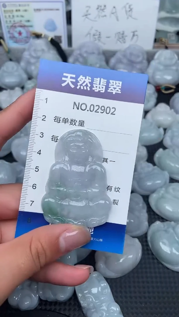 颈饰未镶嵌翡翠纯天然A货翡翠2902