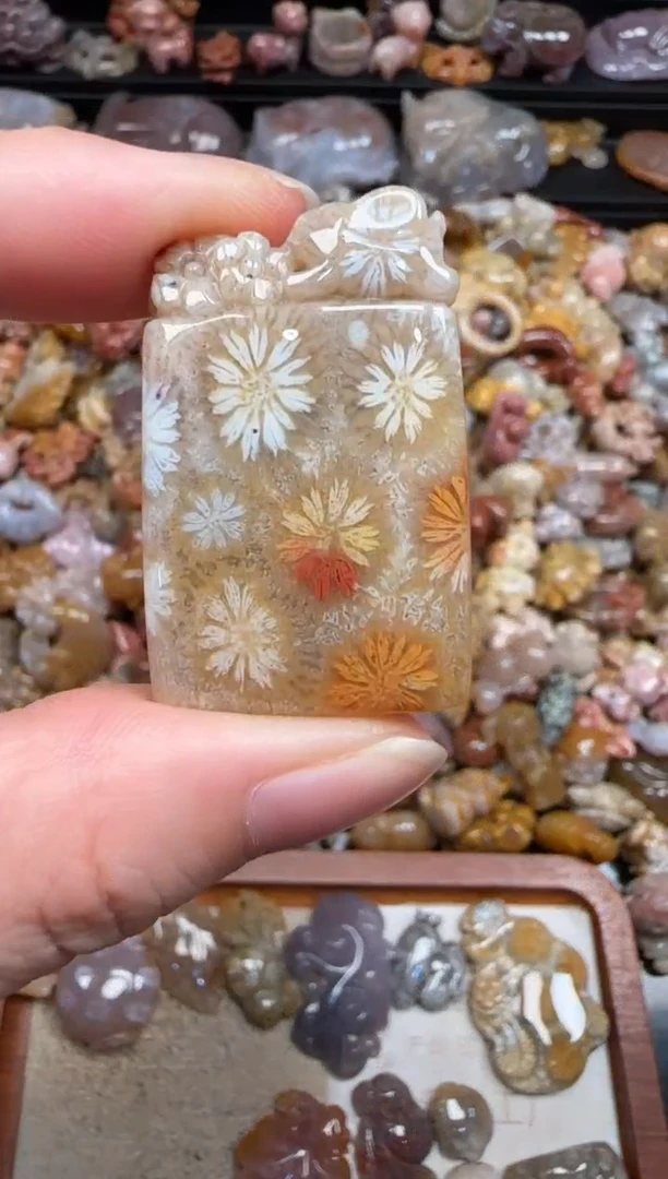 硅化珊瑚（珊瑚玉）未镶嵌颈饰675