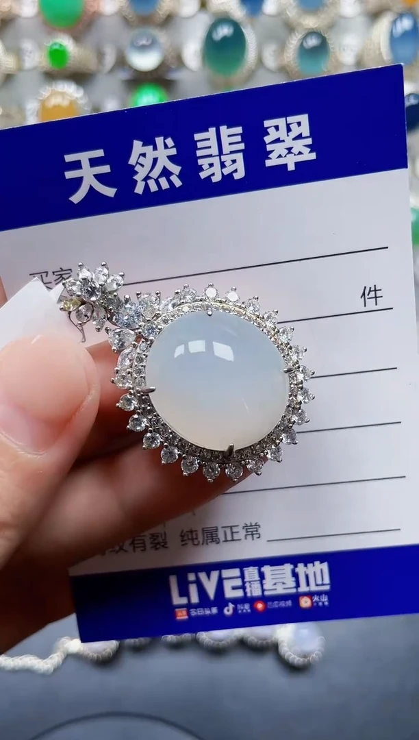 颈饰银S925镶嵌翡翠494