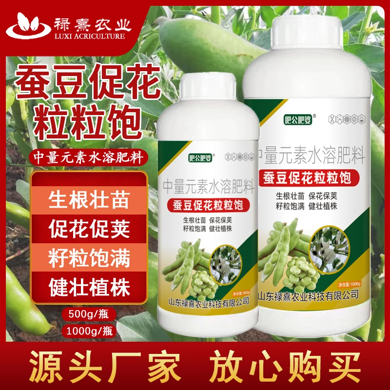 蚕豆促花粒粒饱专用生根壮苗抗逆抗倒伏花荚多籽粒饱满增产