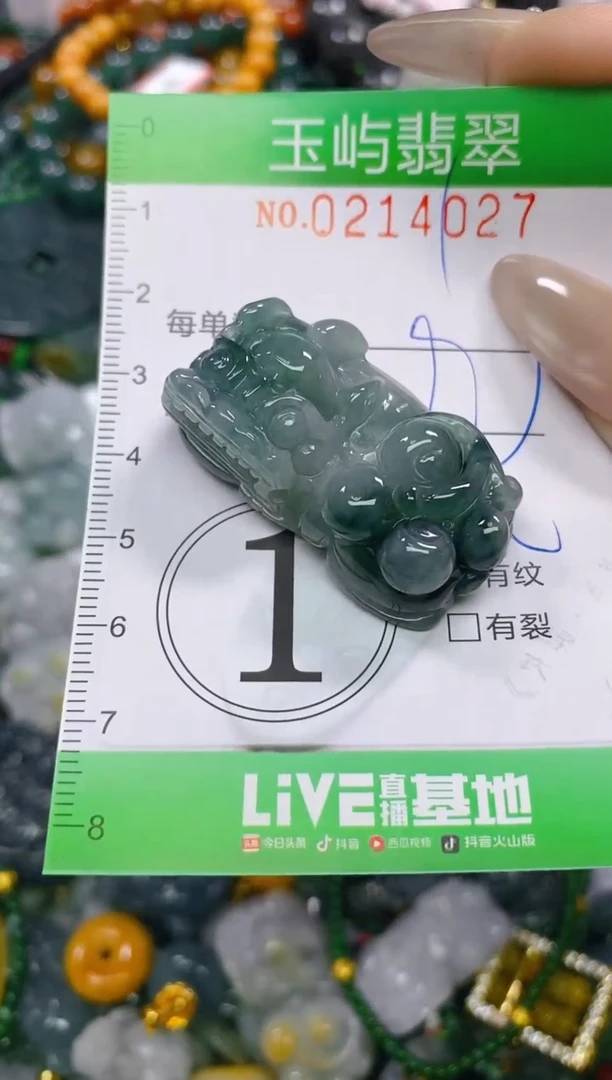 颈饰未镶嵌翡翠闪购0214027